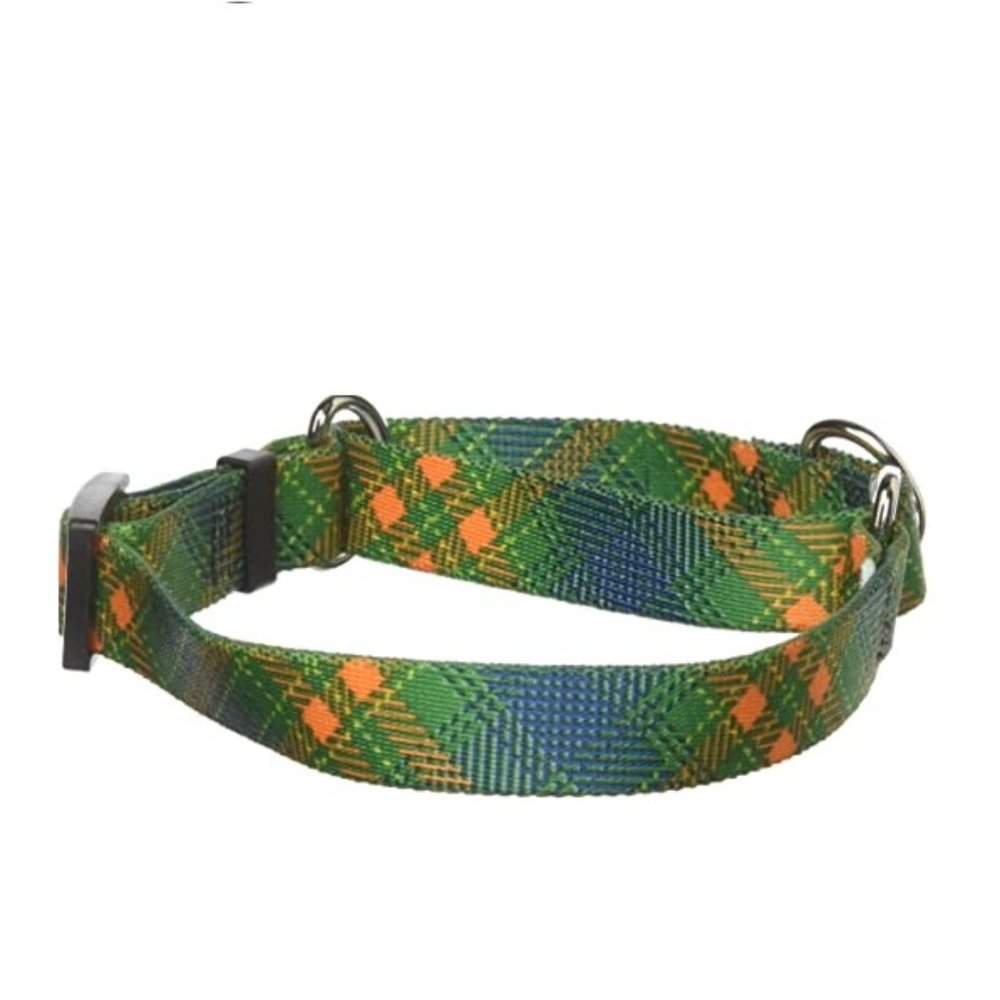 Yellow Dog Design Green Kilt Martingale Dog Collar 3/4"